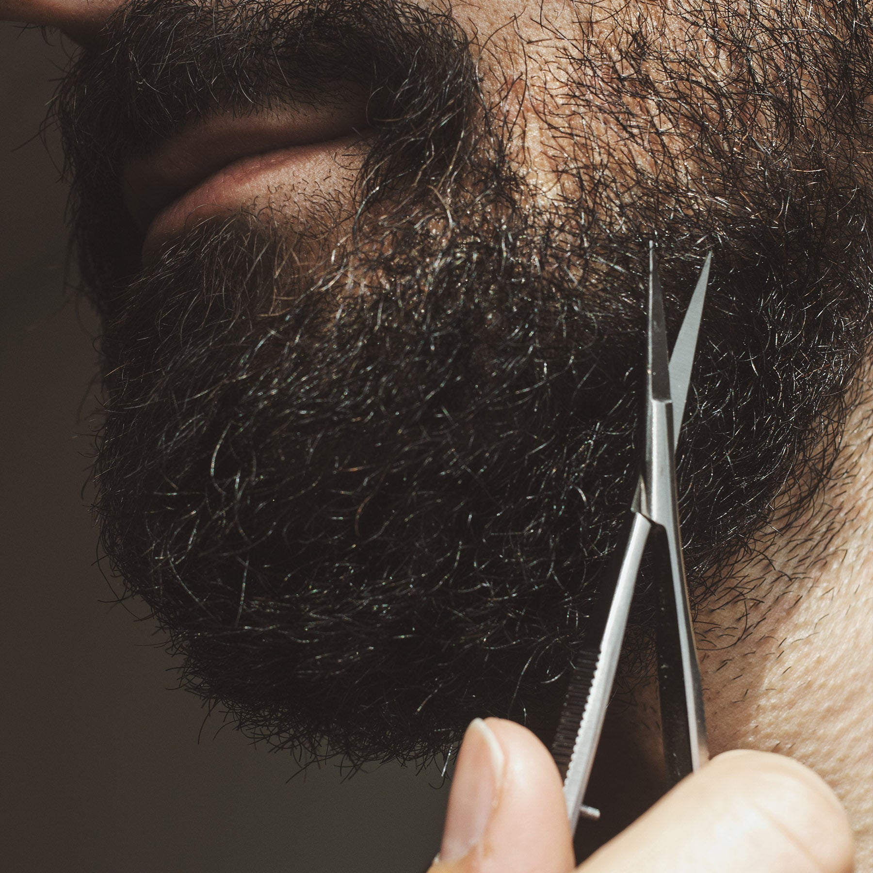 Essential Brow & Beard Kit | L'Atelier du Sourcil
